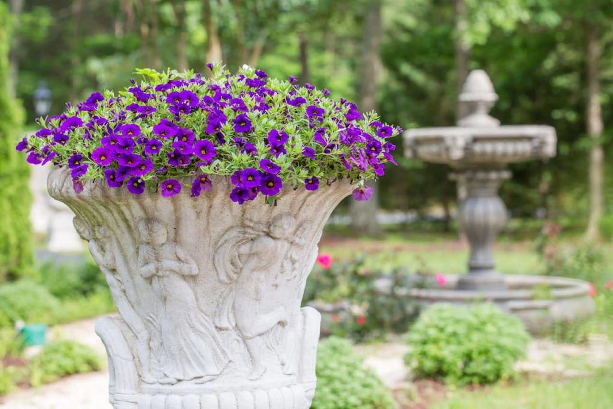 Rosewood Manor Bed & Breakfast Port Tobacco Esterno foto